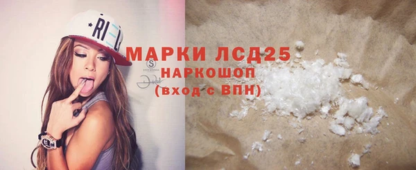 прущие грибы Краснослободск