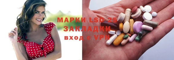 прущие грибы Краснослободск