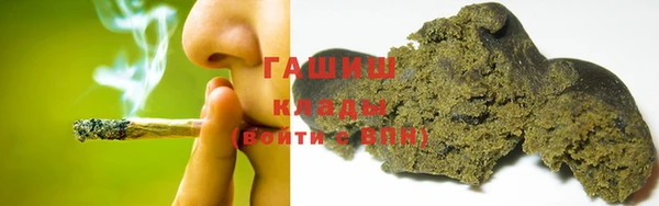 прущие грибы Краснослободск