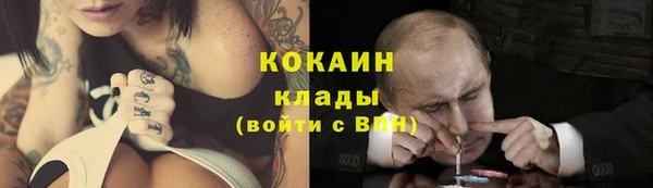 прущие грибы Краснослободск