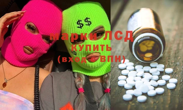 прущие грибы Краснослободск