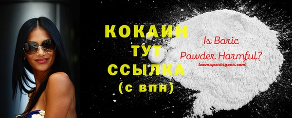 прущие грибы Краснослободск