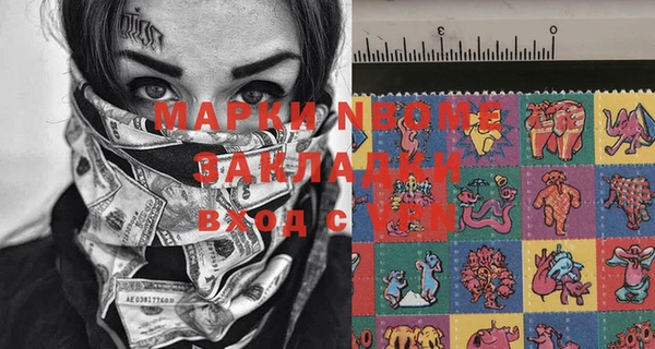 прущие грибы Краснослободск