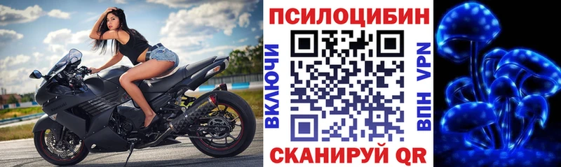 купить наркотики сайты  Коряжма  маркетплейс какой сайт  Галлюциногенные грибы прущие грибы  KRAKEN ссылки 